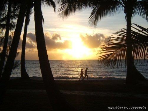 Aparthotel Tropic Palm Cove